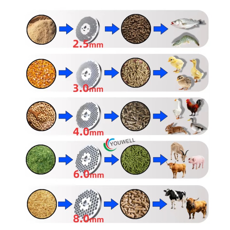 Farming Is Part Of Agriculture - 耐久性のある飼料ペレットマシン研削盤 - 農業および農機具に不可欠なスペアパーツ