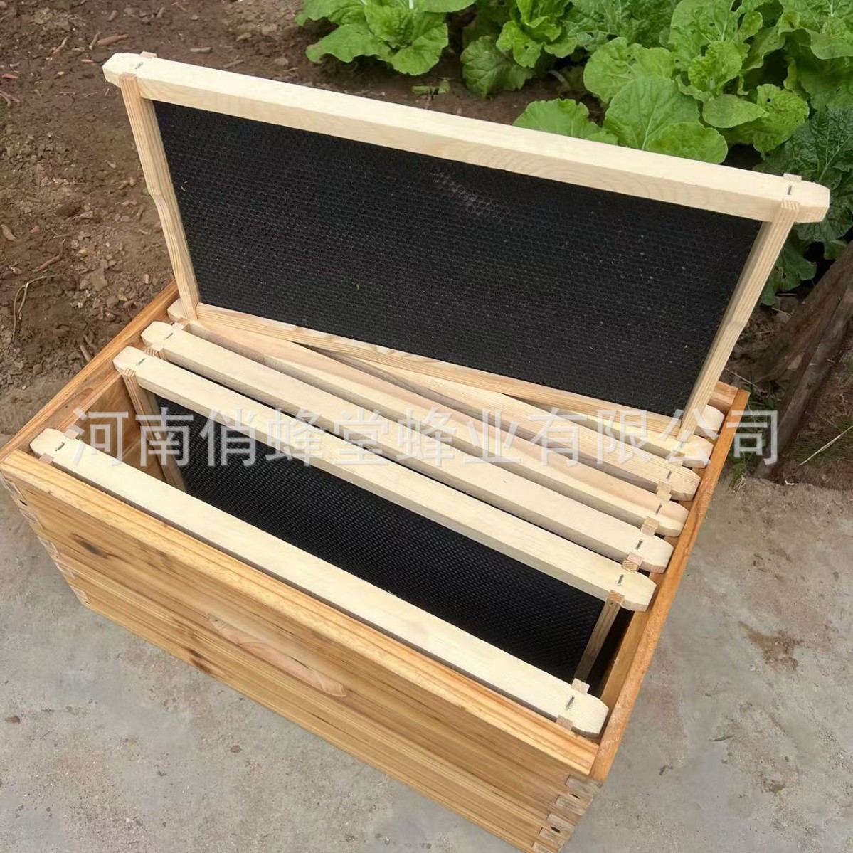 Beehive Frame Wax - 養蜂器具 一流のノンスリッププラスチック製巣床 巣床 松製巣枠 イタリアンビーシュプレーワックス 蜂の巣箱
