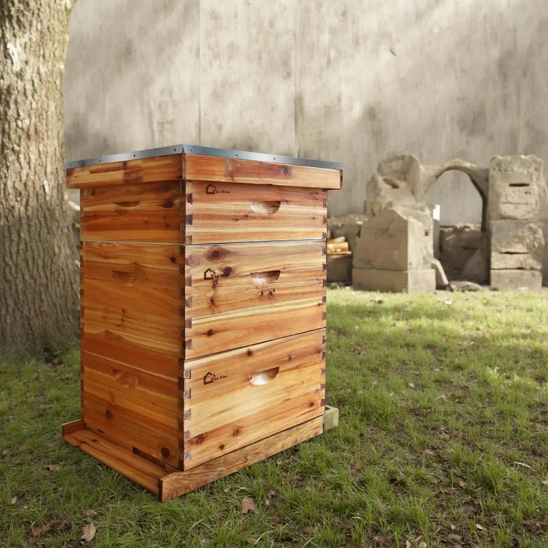 10枚巣枠付き完全養蜂キット、初心者向けワックスコーティング - Beehive Frame Wax のレビューと価格