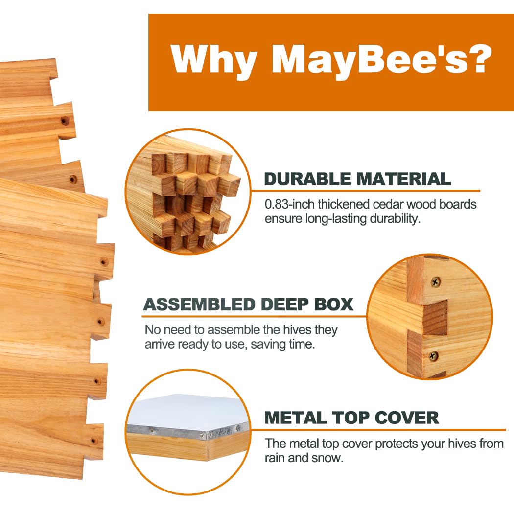 8枚枠蜂箱フレームキット、ワックスコーティング済み養蜂用品ツ - Beehive Frame Wax のレビューと価格