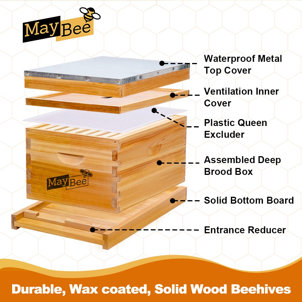 8枚枠蜂箱フレームキット、ワックスコーティング済み養蜂用品ツ - Beehive Frame Wax のレビューと価格