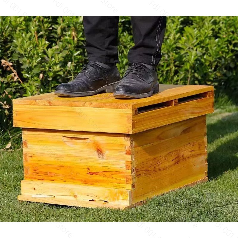 養蜂初心者向け完全養蜂キット 10枚巣枠 ワックスコーティン - Beehive Frame Wax のレビューと価格