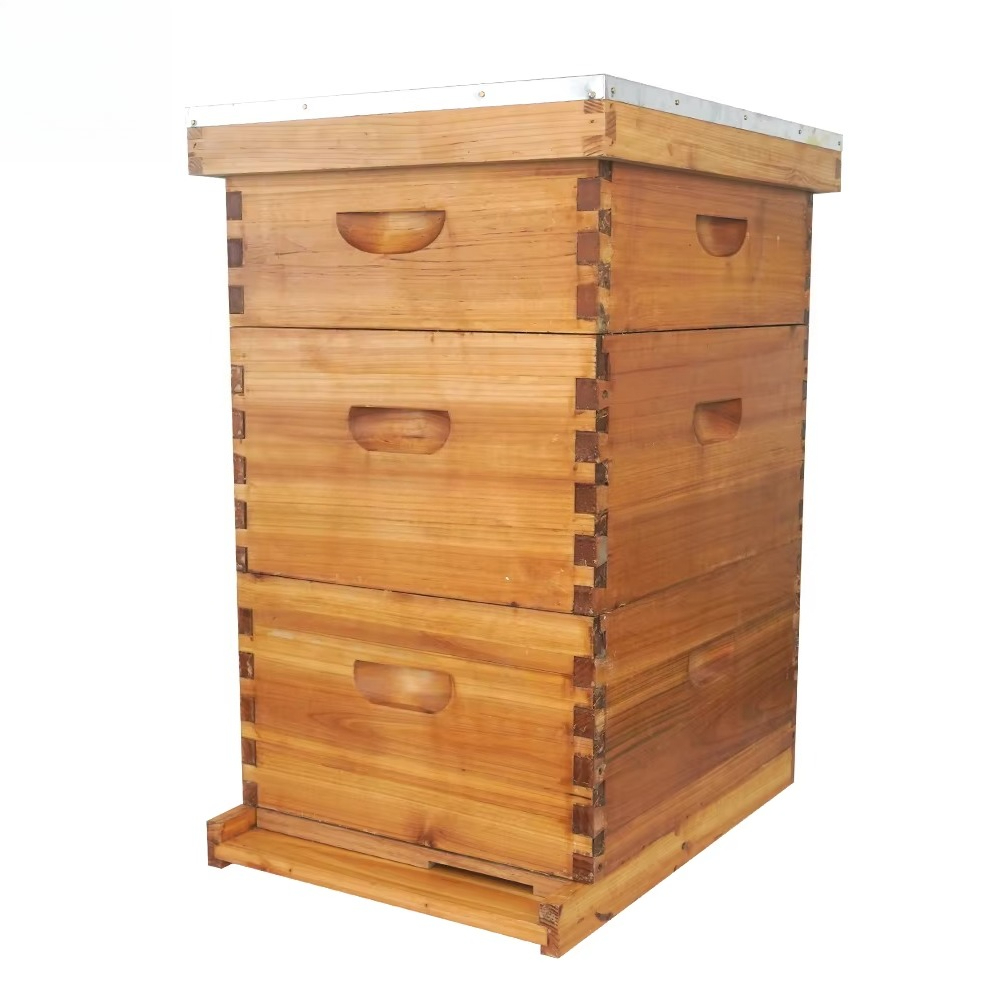 3層の蜜蝋で浸したラングストロース式巣箱（10枚の巣枠、未組 - Beehive Frame Wax のレビューと価格