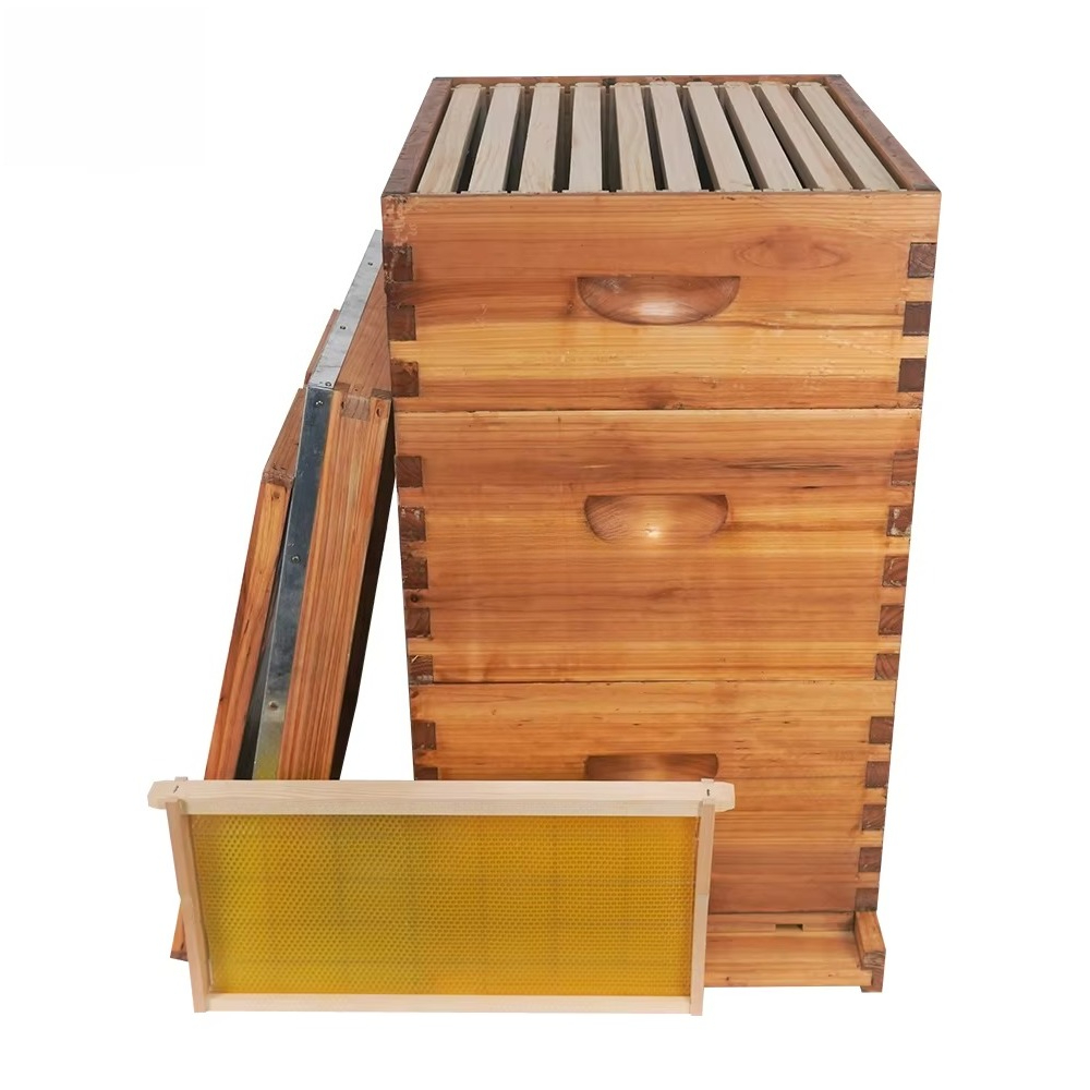 3層の蜜蝋で浸したラングストロース式巣箱（10枚の巣枠、未組 - Beehive Frame Wax のレビューと価格