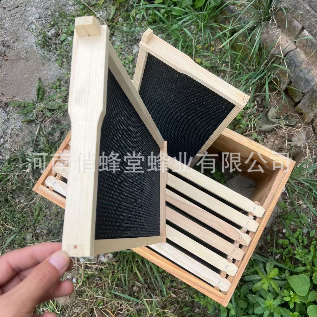 養蜂器具　一流のノンスリッププラスチック製巣床　巣床　松製巣 - Beehive Frame Wax のレビューと価格
