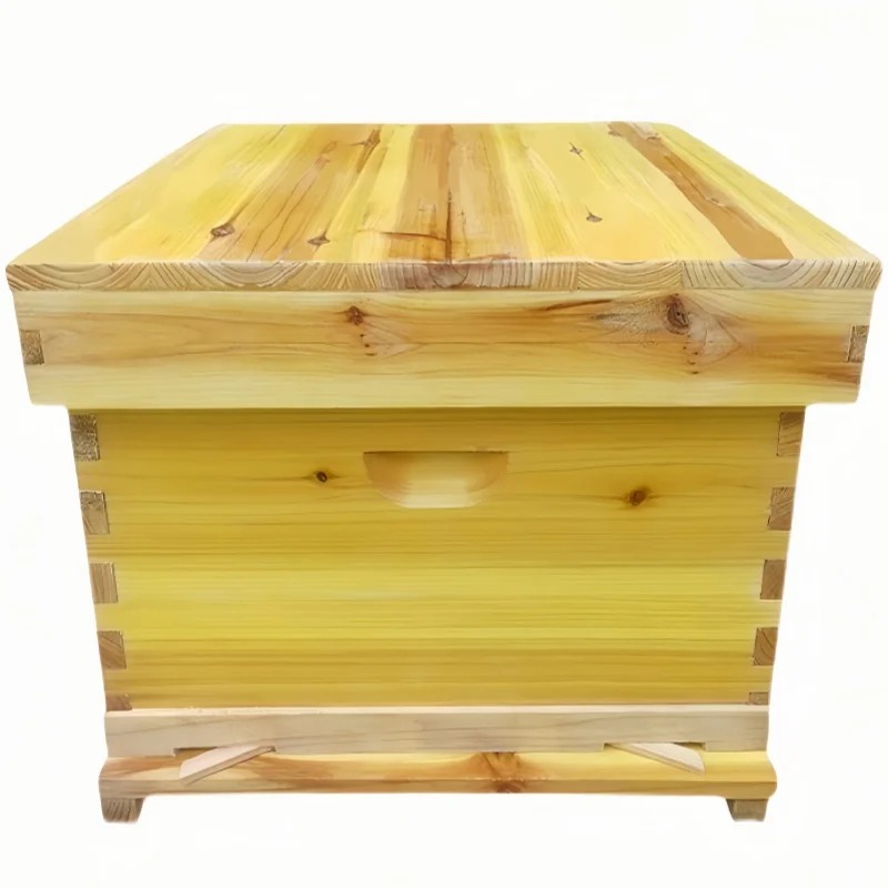 養蜂箱の中の蜂の巣、乾燥したモミの樹脂を完全に使用したもの、 - Beehive Frame Wax のレビューと価格
