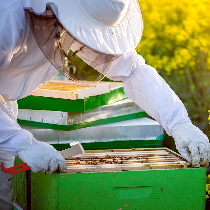 蜂の巣枠スクレーパー 多機能養蜂ツール ワックスリムーバー  - Beehive Frame Wax のレビューと価格
